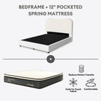 Amelie Queen Bedframe | 141-29